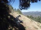 photo thumbnail #13