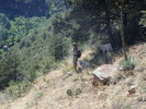 photo thumbnail #14