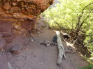 photo thumbnail #5