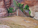 photo thumbnail #10