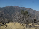 photo thumbnail #8