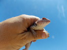 photo thumbnail #7