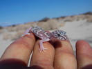 photo thumbnail #3