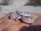 photo thumbnail #5