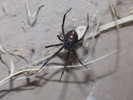 photo thumbnail #2