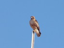 photo thumbnail #15