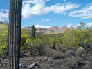 photo thumbnail #8