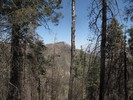 photo thumbnail #11