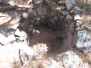 photo thumbnail #15