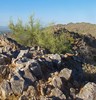photo thumbnail #3