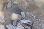 photo thumbnail #7