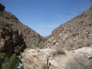 photo thumbnail #2