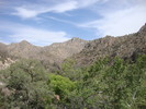 photo thumbnail #9