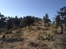 photo thumbnail #6