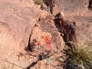 photo thumbnail #12