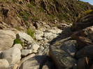 photo thumbnail #14