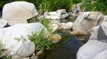 photo thumbnail #7