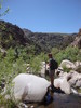 photo thumbnail #7