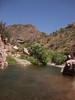 photo thumbnail #11
