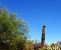 photo thumbnail #3