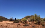 photo thumbnail #4