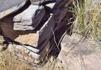 photo thumbnail #8
