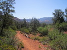 photo thumbnail #7