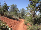 photo thumbnail #11