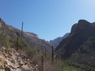 photo thumbnail #1