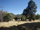 photo thumbnail #9