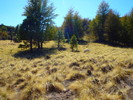 photo thumbnail #10