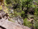 photo thumbnail #12