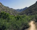 photo thumbnail #15
