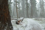 photo thumbnail #3