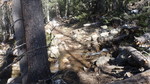 photo thumbnail #14