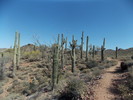 photo thumbnail #9