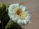 photo thumbnail #14