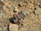 photo thumbnail #1