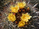 photo thumbnail #6