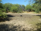 photo thumbnail #9
