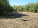 photo thumbnail #10