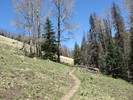 photo thumbnail #4