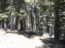 photo thumbnail #13