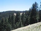 photo thumbnail #14