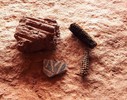 photo thumbnail #10