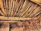 photo thumbnail #14