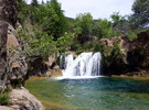 photo thumbnail #4