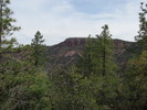 photo thumbnail #2
