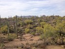 photo thumbnail #7