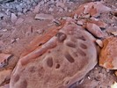 photo thumbnail #10